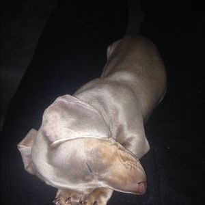 Meet your Posher, Marc